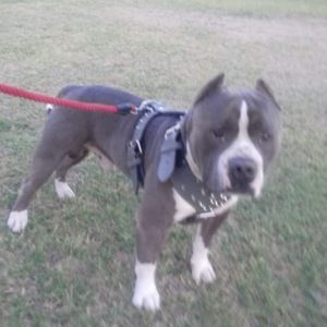 Meet your Posher, Ruben